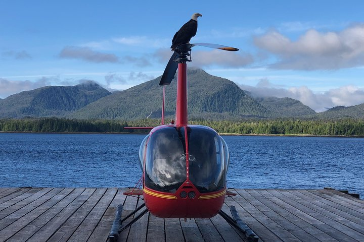 Ketchikan Helicopter Tour, Mahoney Falls - Photo 1 of 9